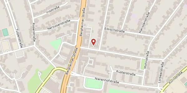 Karte der Umgebung von Minzstr. 2a, 41466 Neuss