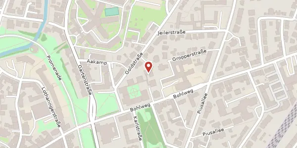 Karte der Umgebung von Hörsterplatz 6, 48147 Münster