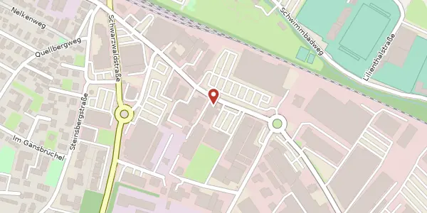 Karte der Umgebung von Neulandstraße 10, 74889 Sinsheim