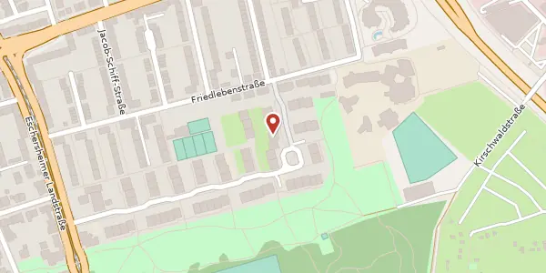 Karte der Umgebung von Walter-Leiske-Str. 55, 60320 Frankfurt