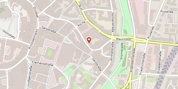 Karte der Umgebung von Alter Steinweg 22-24, 48143 Münster