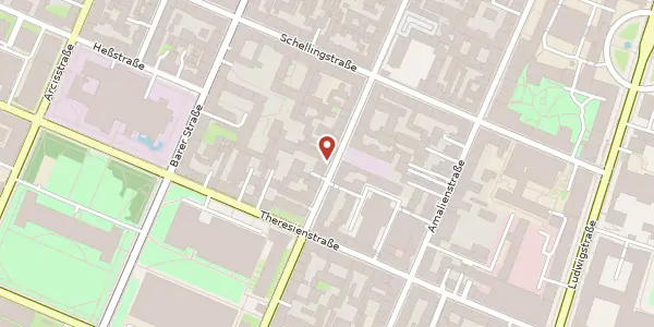 Karte der Umgebung von Türkenstr. 29, 80799 München