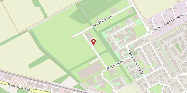 Karte der Umgebung von Karolingerstraße 4, 55299 Nackenheim