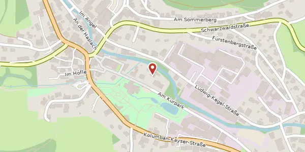 Karte der Umgebung von Am Kurpark 7a, 79853 Lenzkirch
