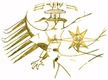 Logo der Kanzlei