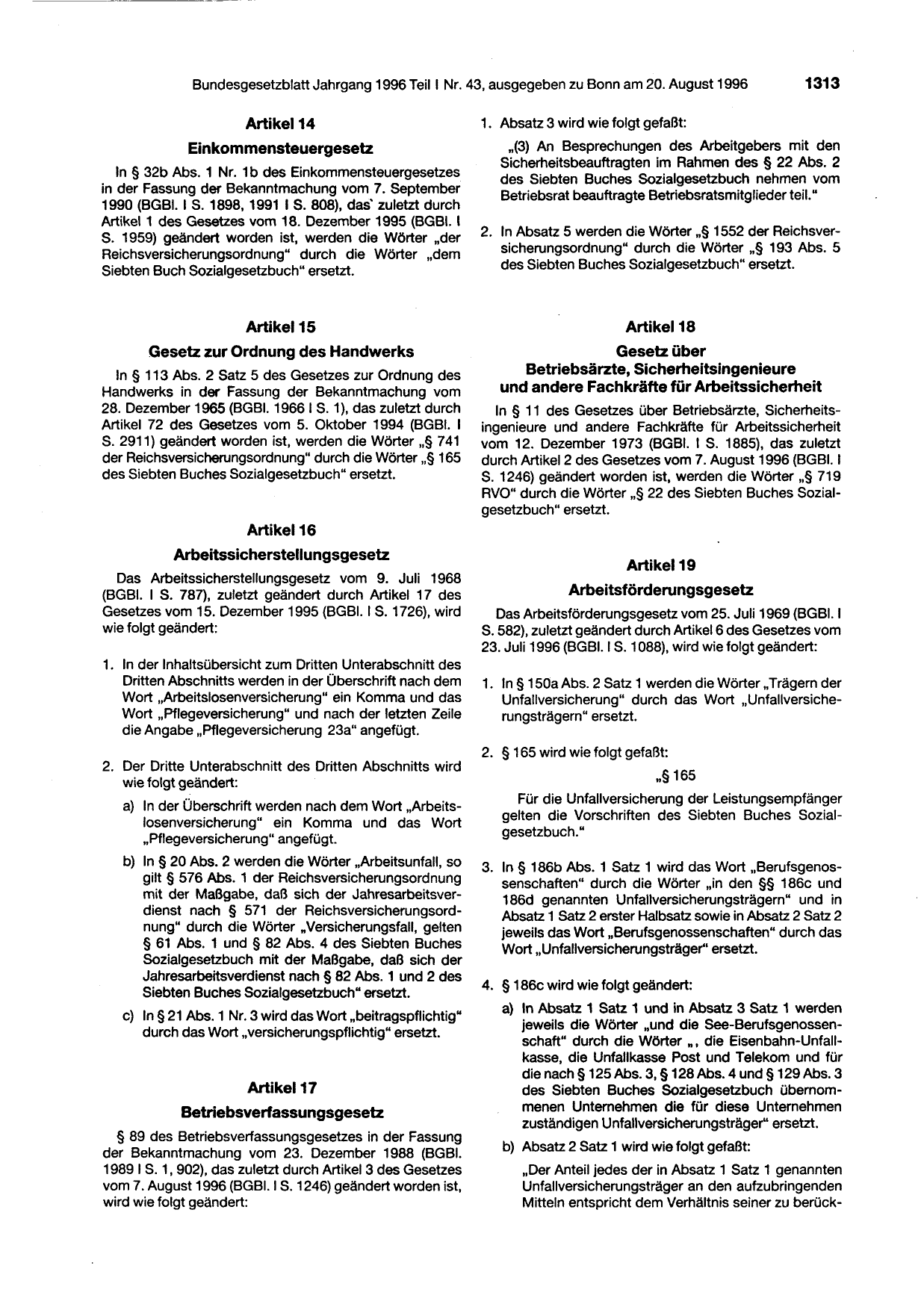BGBl. 1996, Seite 1313 — Originalseite als Abbildung