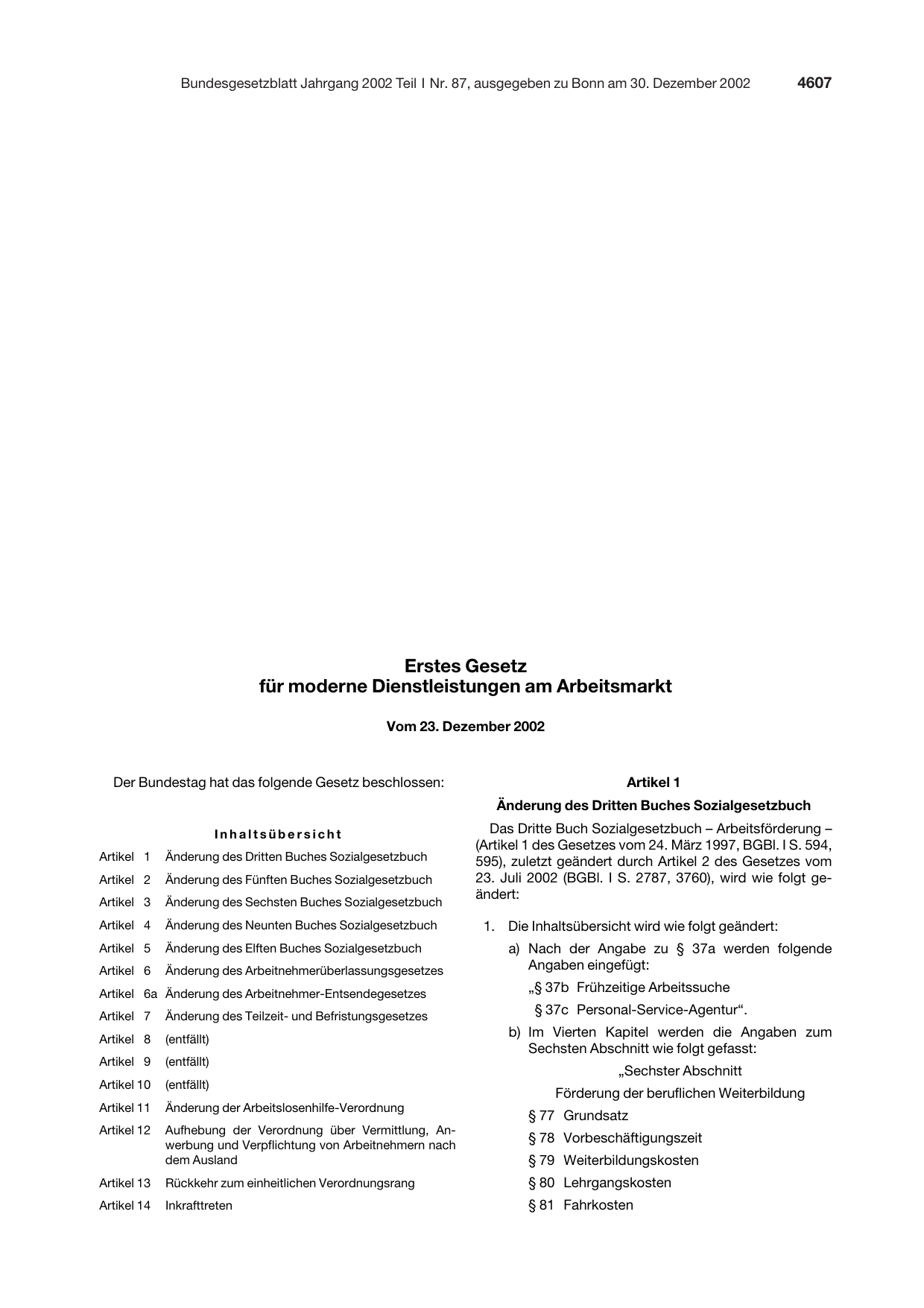 BGBl. 2002, Seite 4607 — Originalseite als Abbildung
