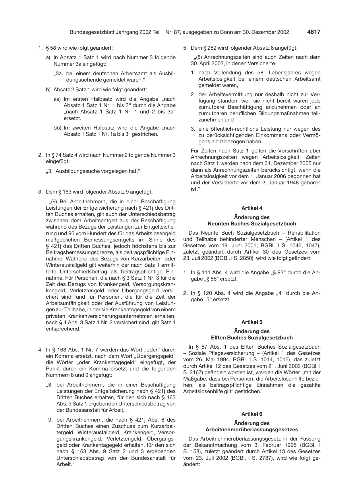 BGBl. 2002, Seite 4617 — Originalseite als Abbildung