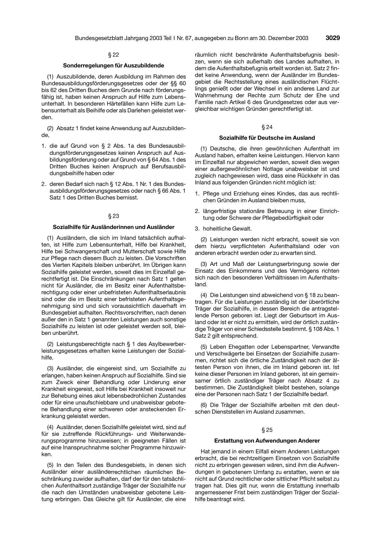 BGBl. 2003, Seite 3029 — Originalseite als Abbildung