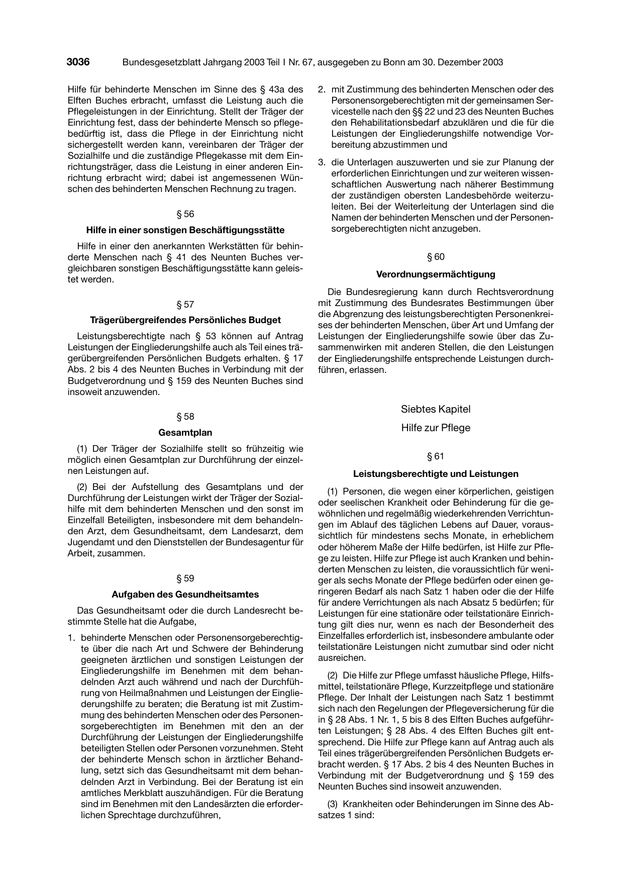BGBl. 2003, Seite 3036 — Originalseite als Abbildung