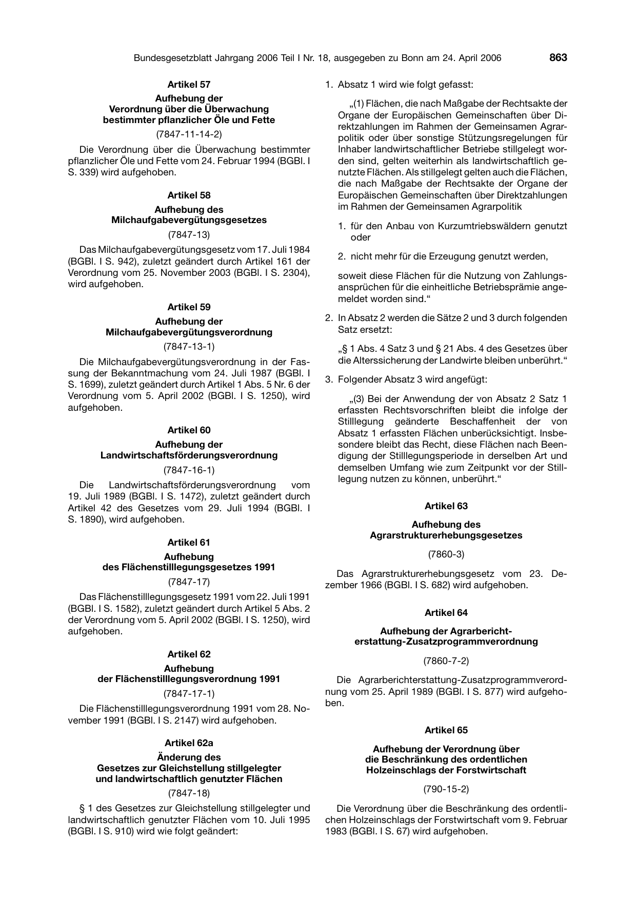 BGBl. 2006, Seite 863 — Originalseite als Abbildung
