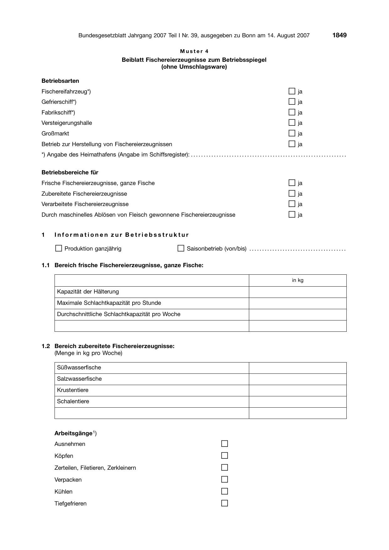 BGBl. 2007, Seite 1849 — Originalseite als Abbildung