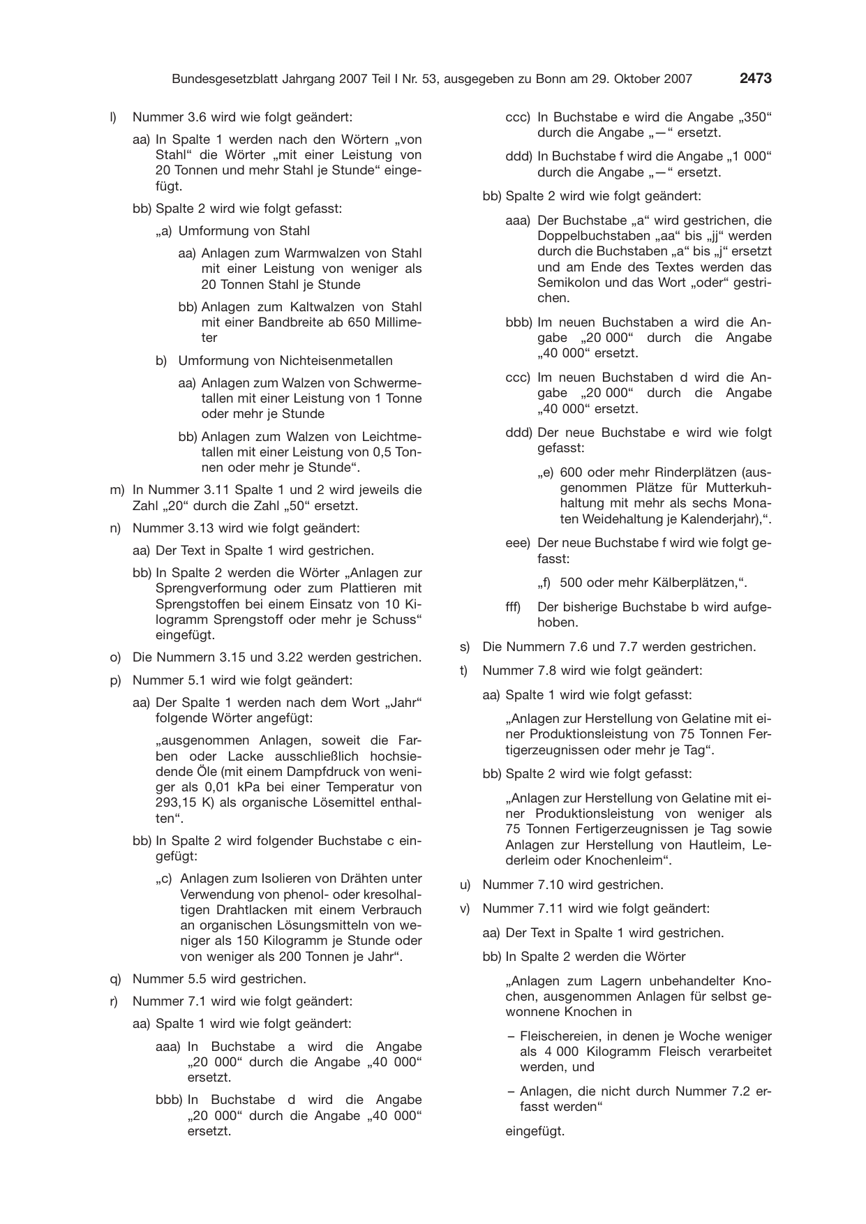 BGBl. 2007, Seite 2473 — Originalseite als Abbildung