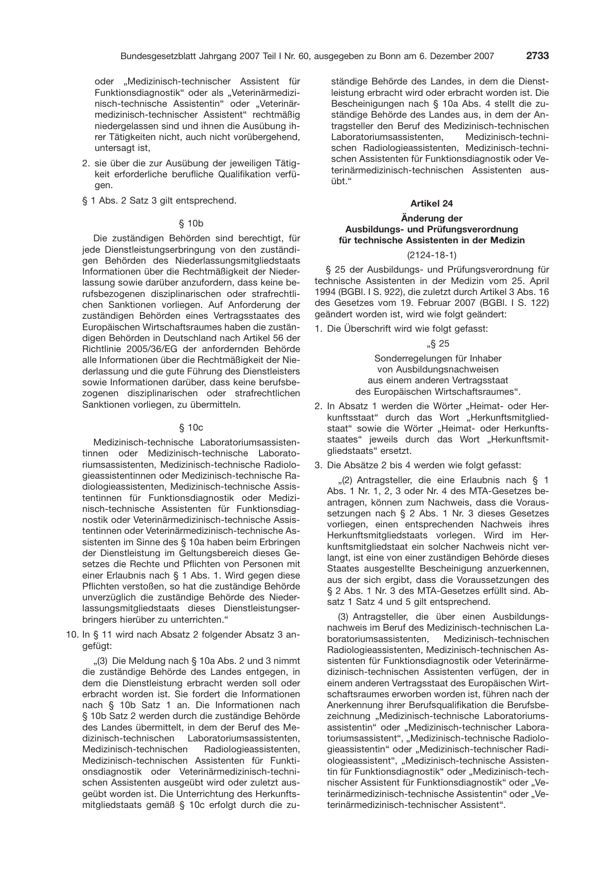 BGBl. 2007, Seite 2733 — Originalseite als Abbildung
