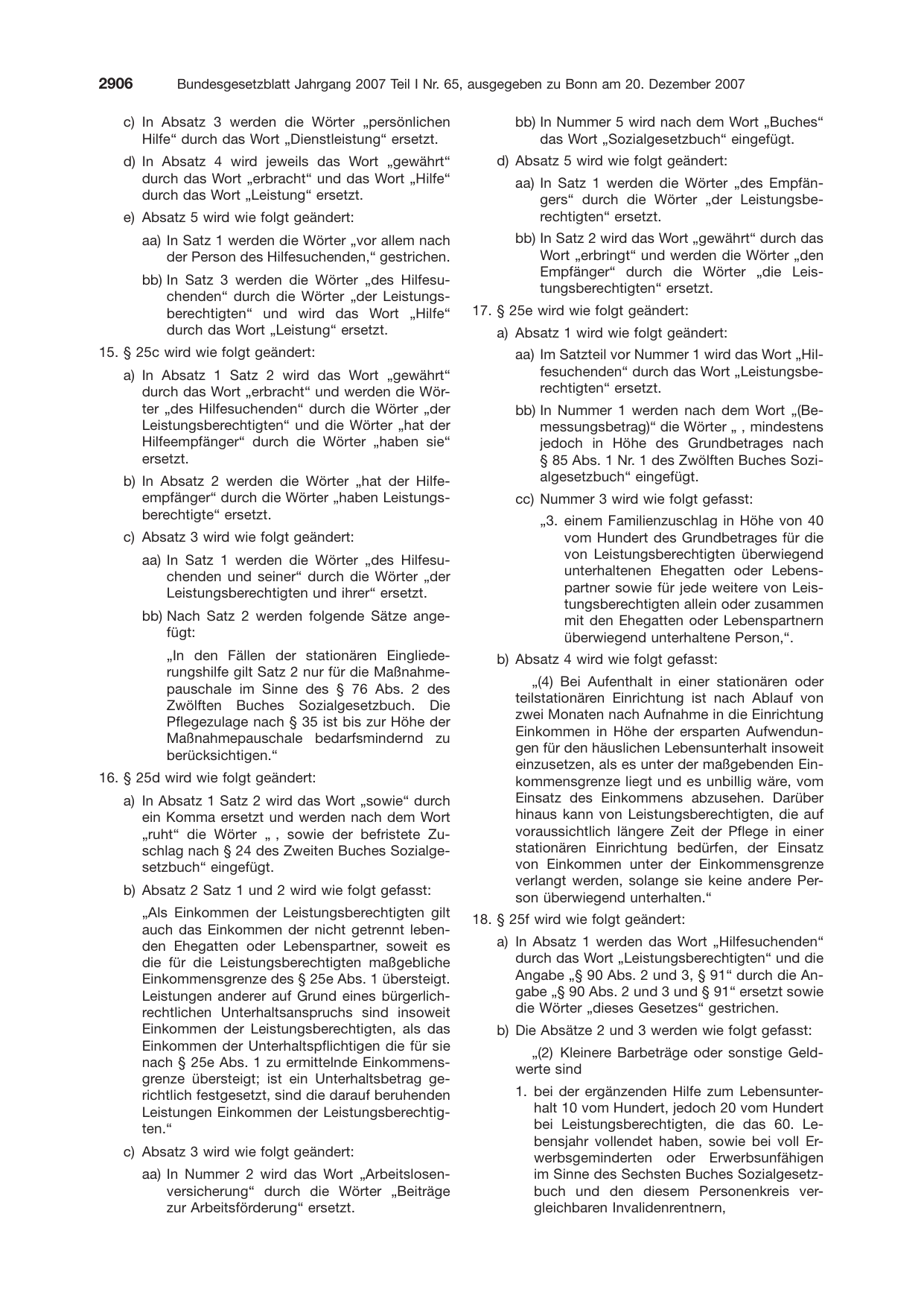 BGBl. 2007, Seite 2906 — Originalseite als Abbildung