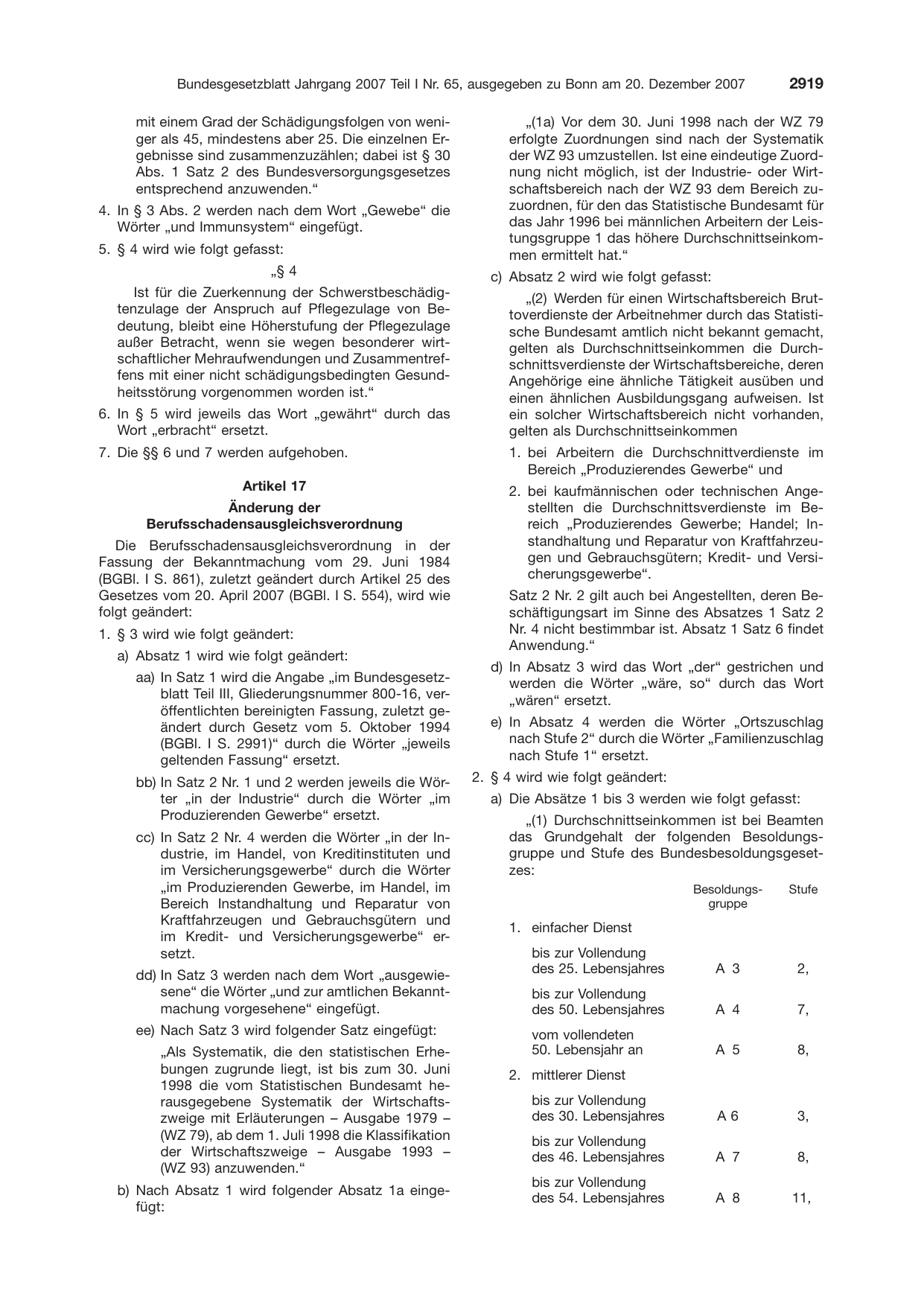 BGBl. 2007, Seite 2919 — Originalseite als Abbildung