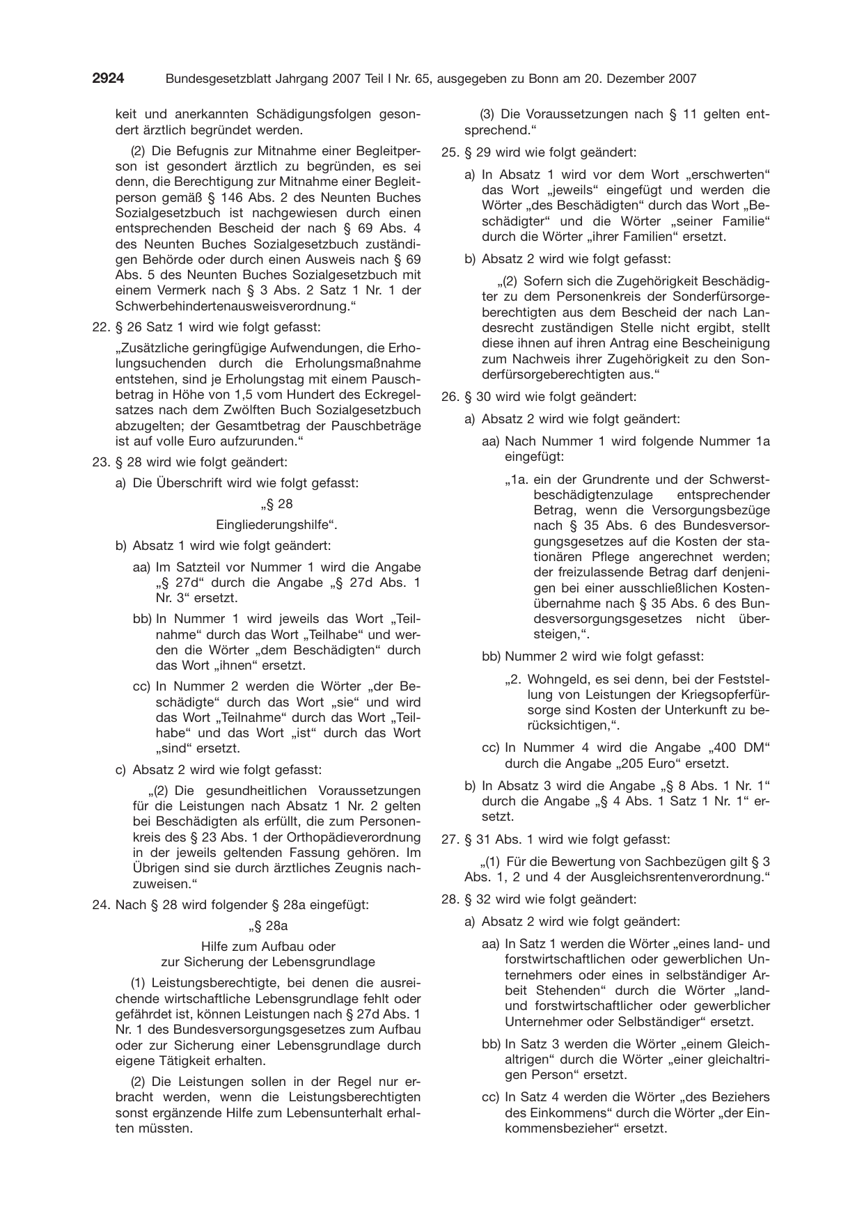 BGBl. 2007, Seite 2924 — Originalseite als Abbildung