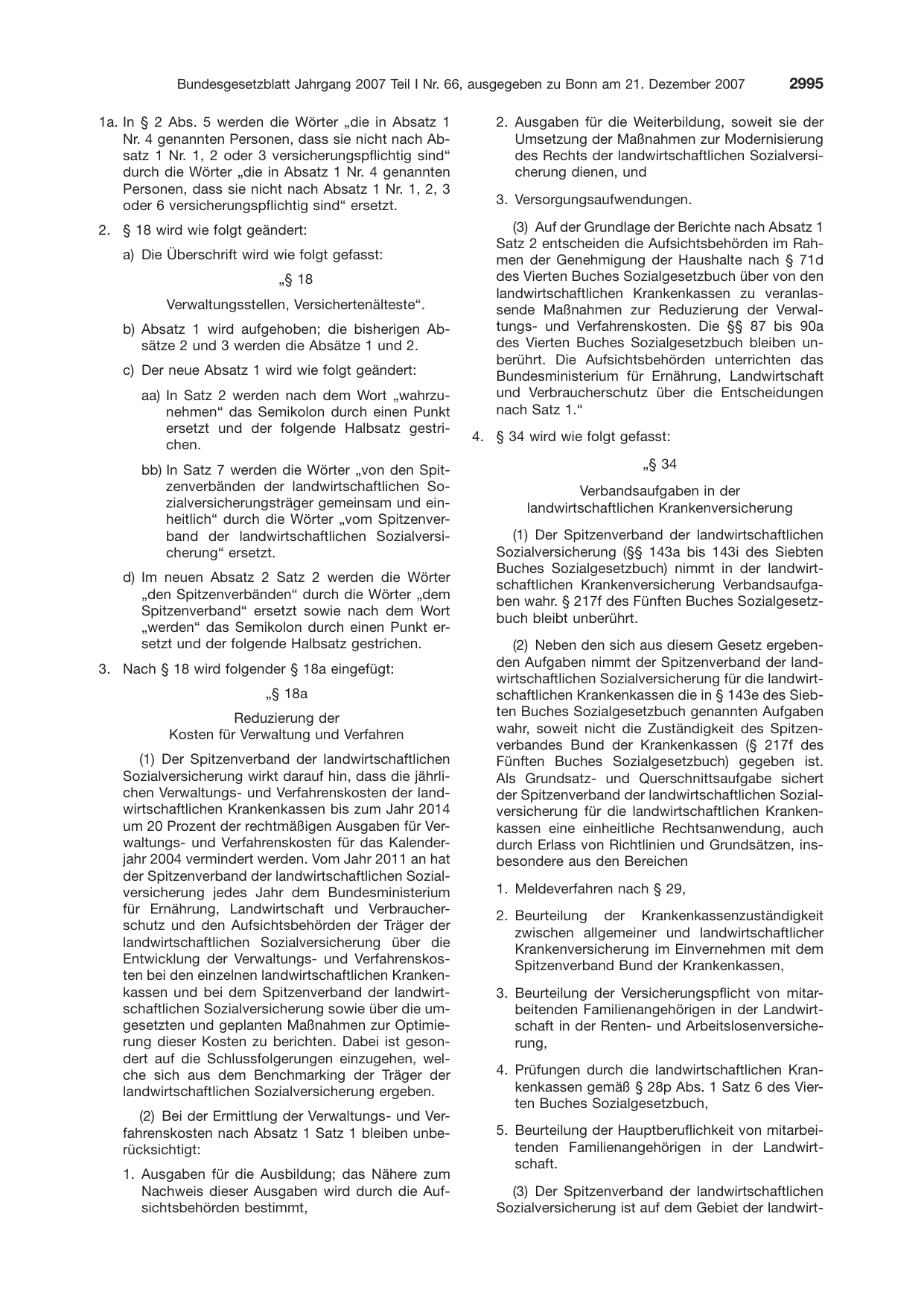 BGBl. 2007 — Originalseite als Abbildung