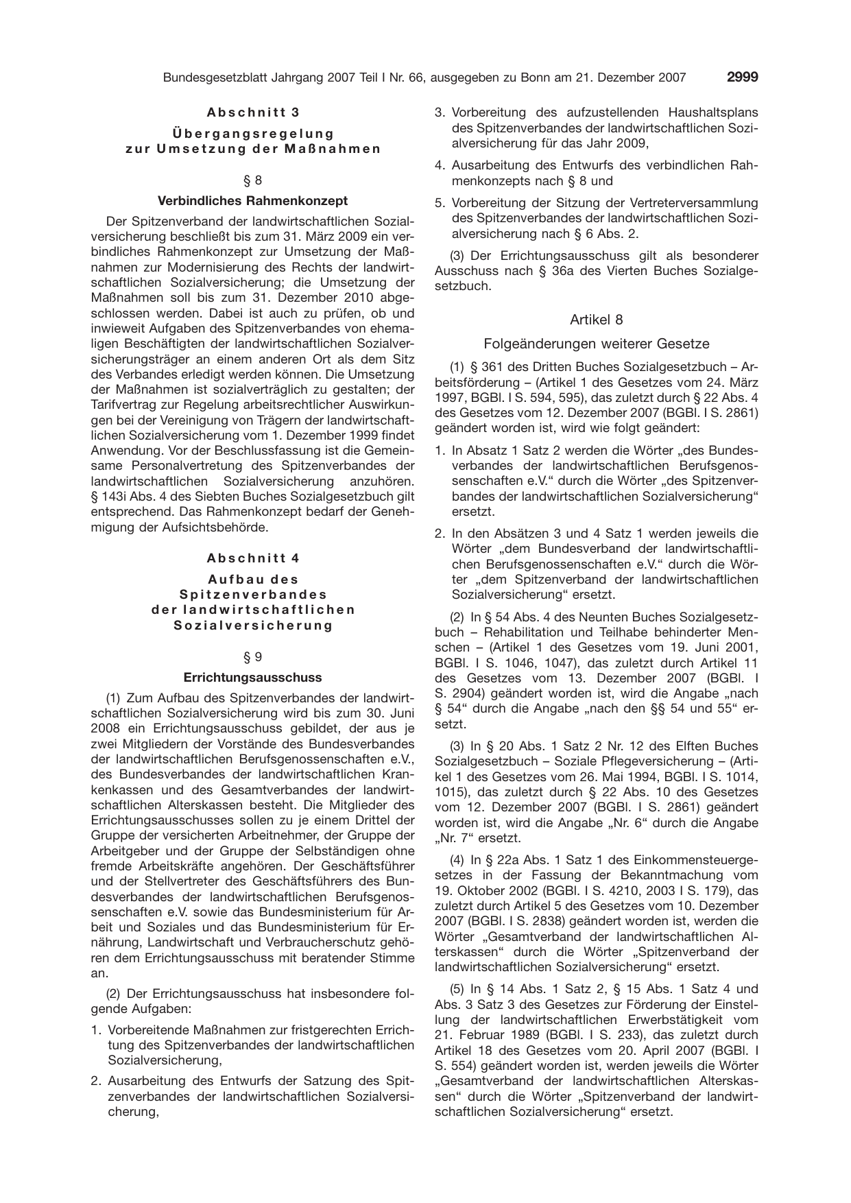 BGBl. 2007 — Originalseite als Abbildung