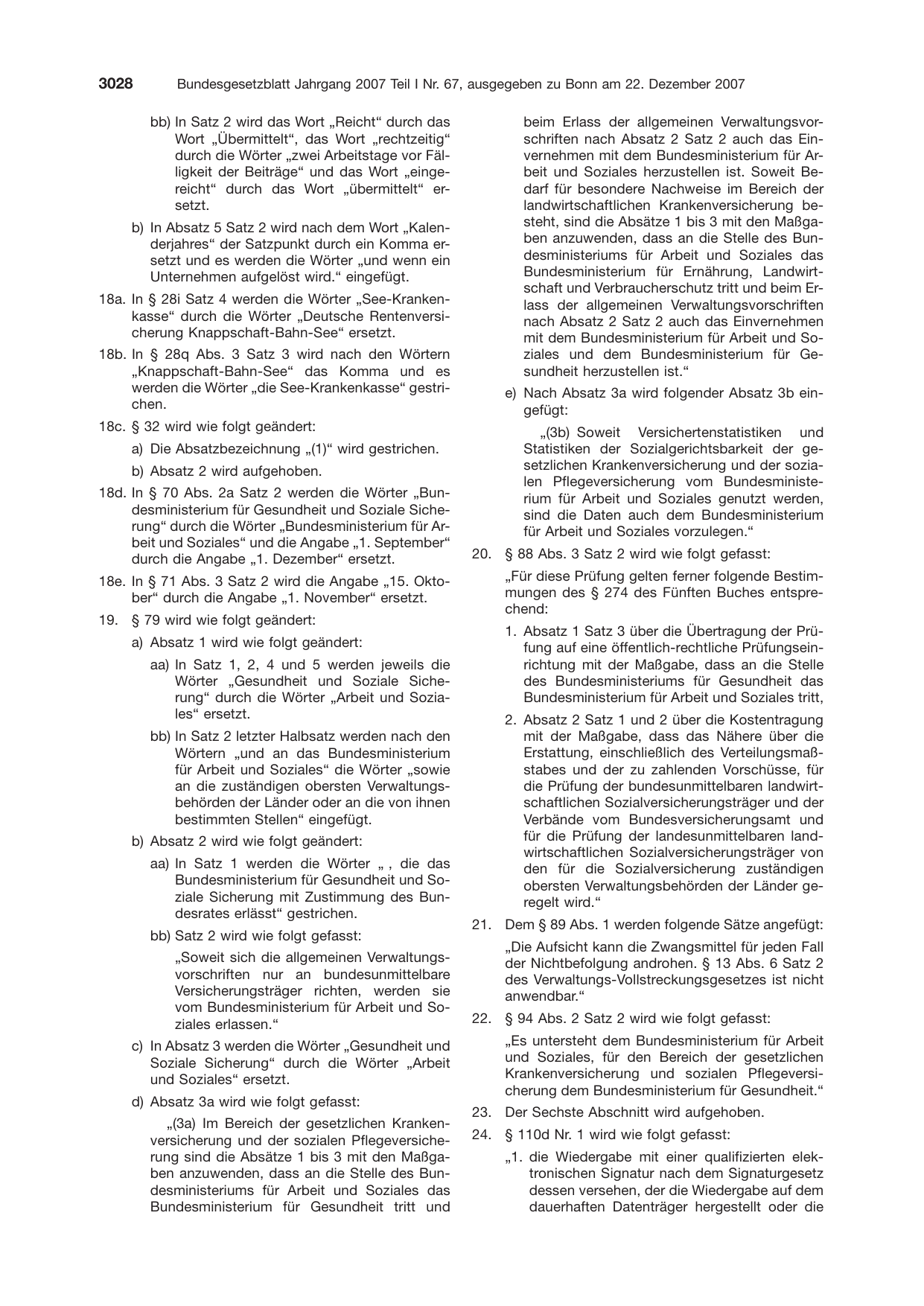 BGBl. 2007, Seite 3028 — Originalseite als Abbildung