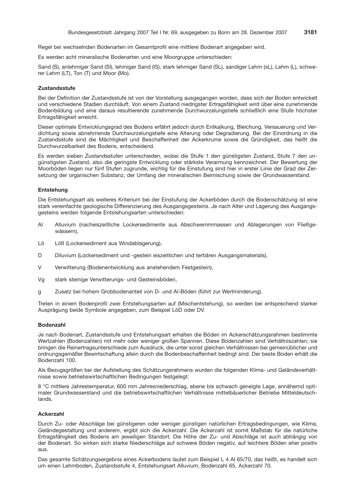 BGBl. 2007, Seite 3181 — Originalseite als Abbildung