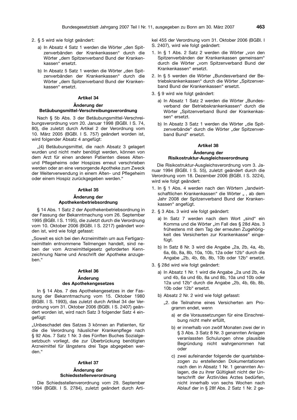BGBl. 2007, Seite 463 — Originalseite als Abbildung