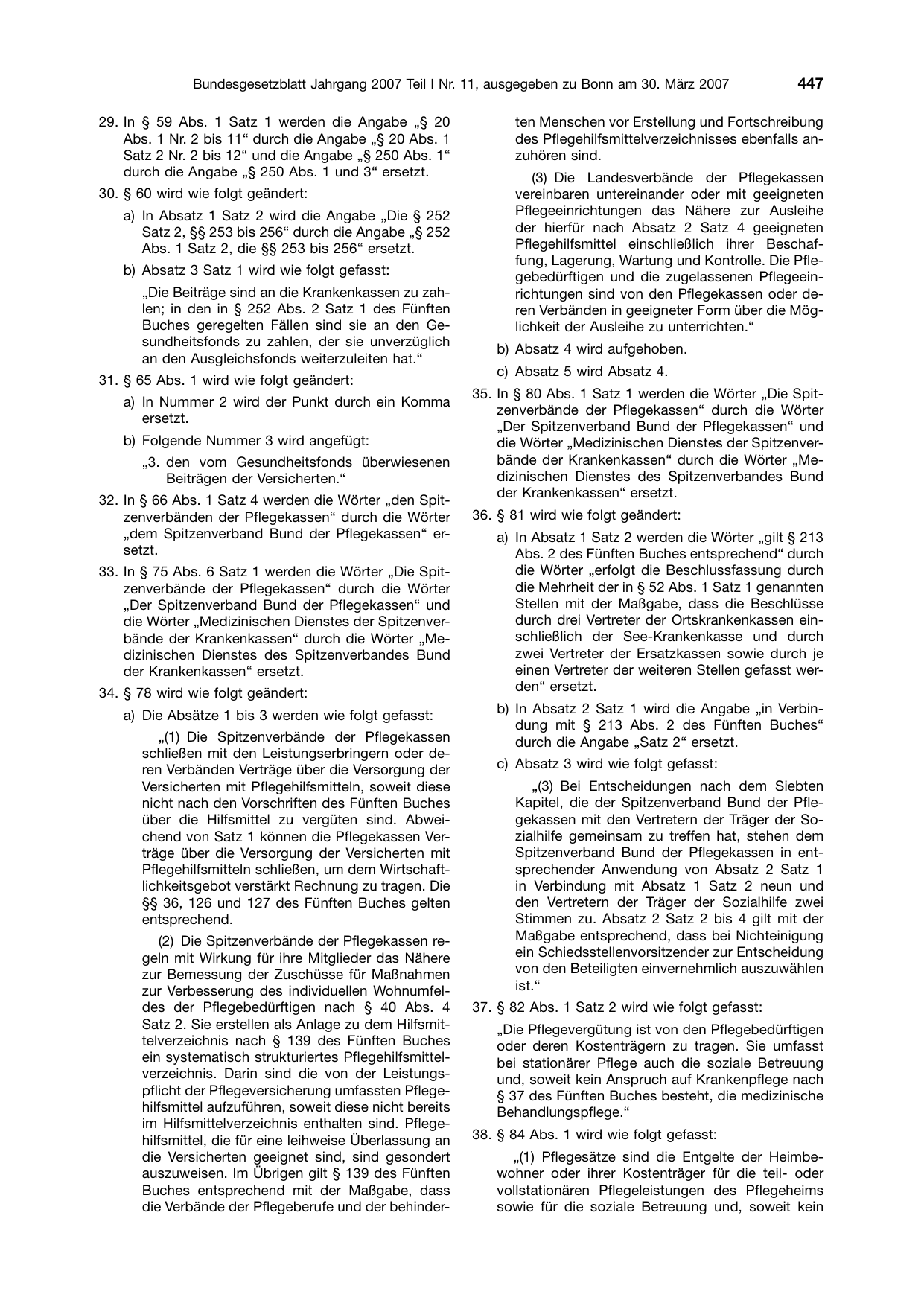 BGBl. 2007, Seite 447 — Originalseite als Abbildung