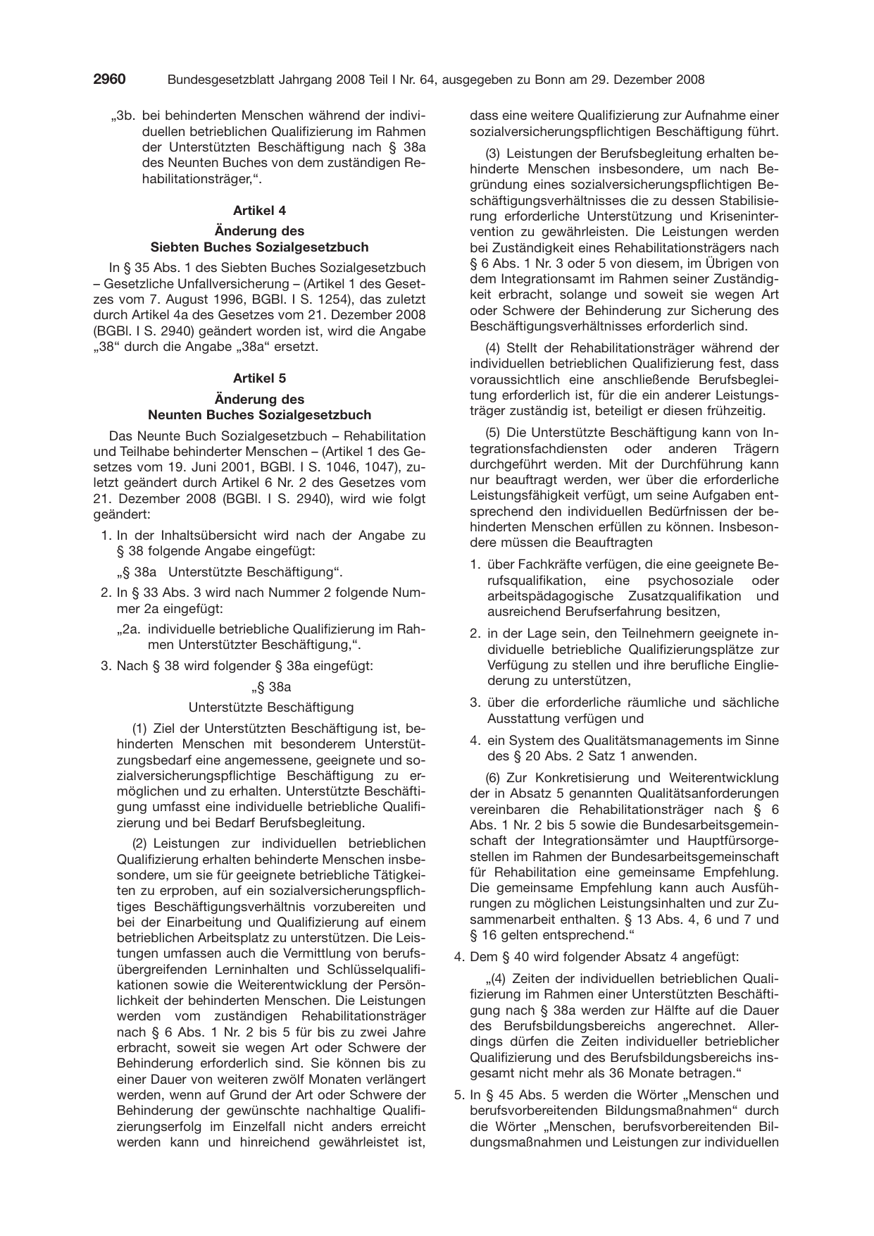BGBl. 2008, Seite 2960 — Originalseite als Abbildung