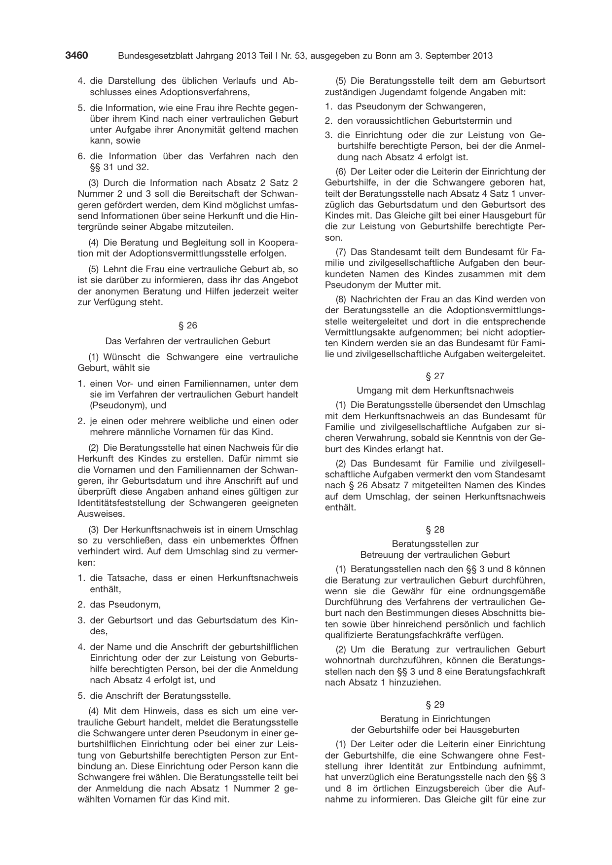 BGBl. 2013, Seite 3460 — Originalseite als Abbildung