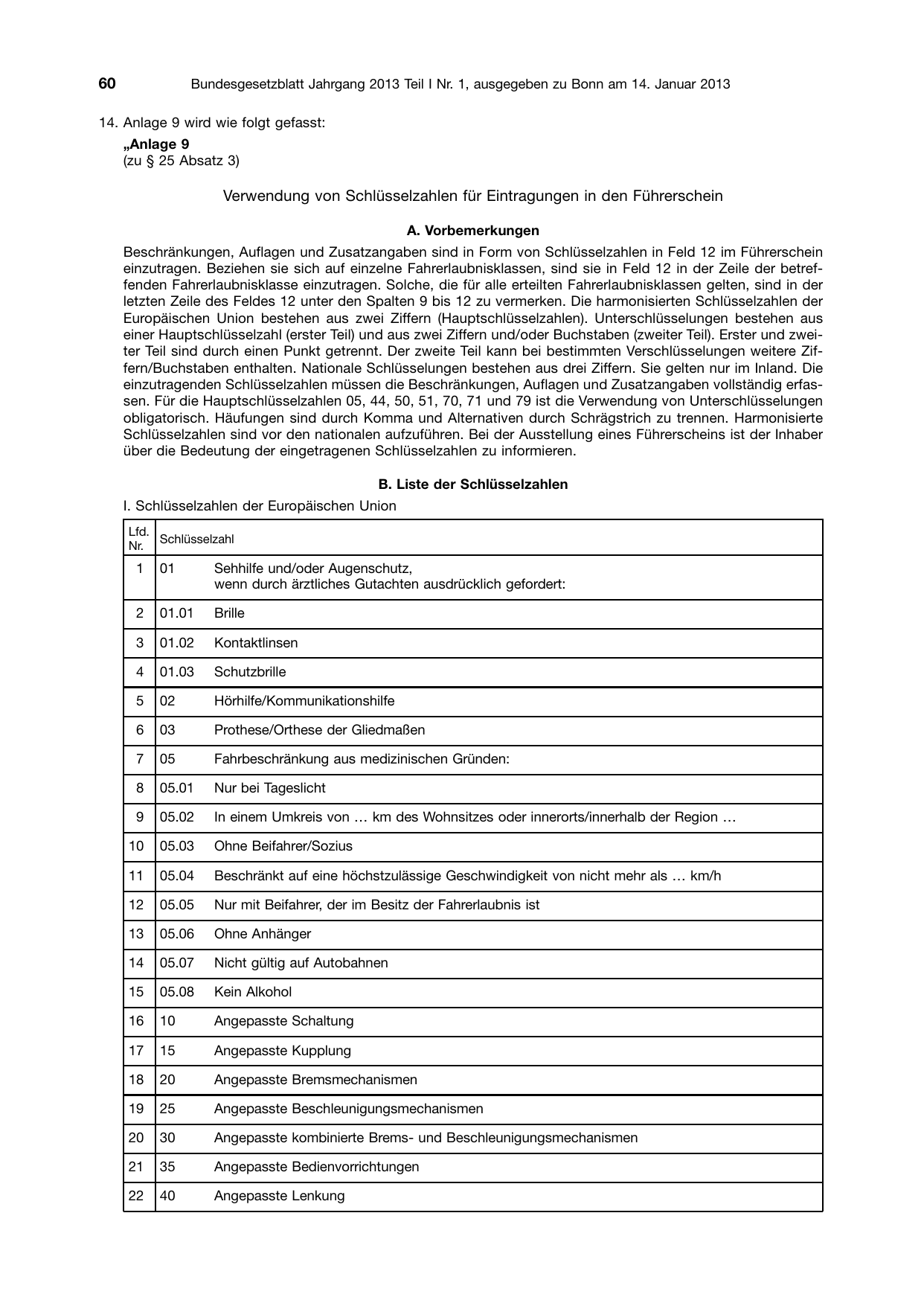 BGBl. 2013, Seite 60 — Originalseite als Abbildung