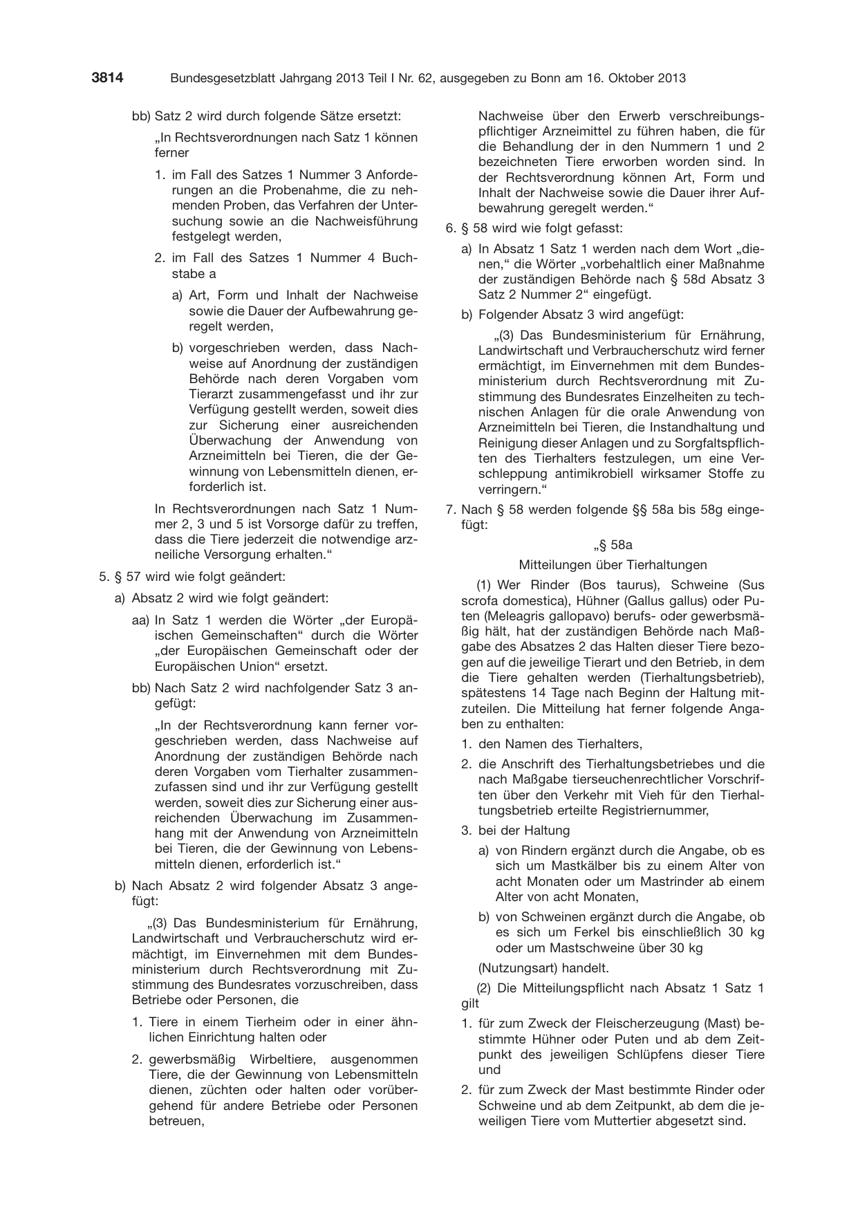BGBl. 2013, Seite 3814 — Originalseite als Abbildung
