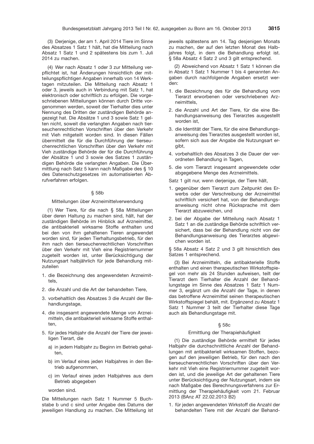 BGBl. 2013, Seite 3815 — Originalseite als Abbildung