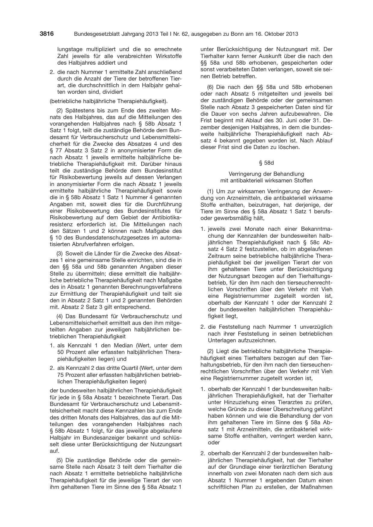 BGBl. 2013, Seite 3816 — Originalseite als Abbildung