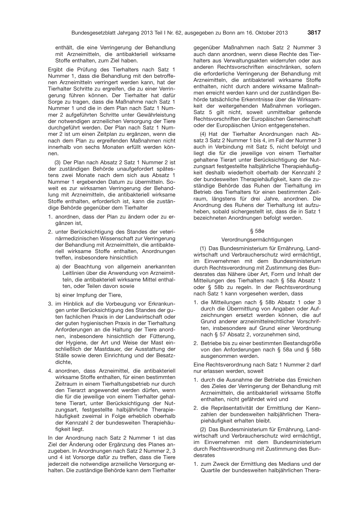 BGBl. 2013, Seite 3817 — Originalseite als Abbildung