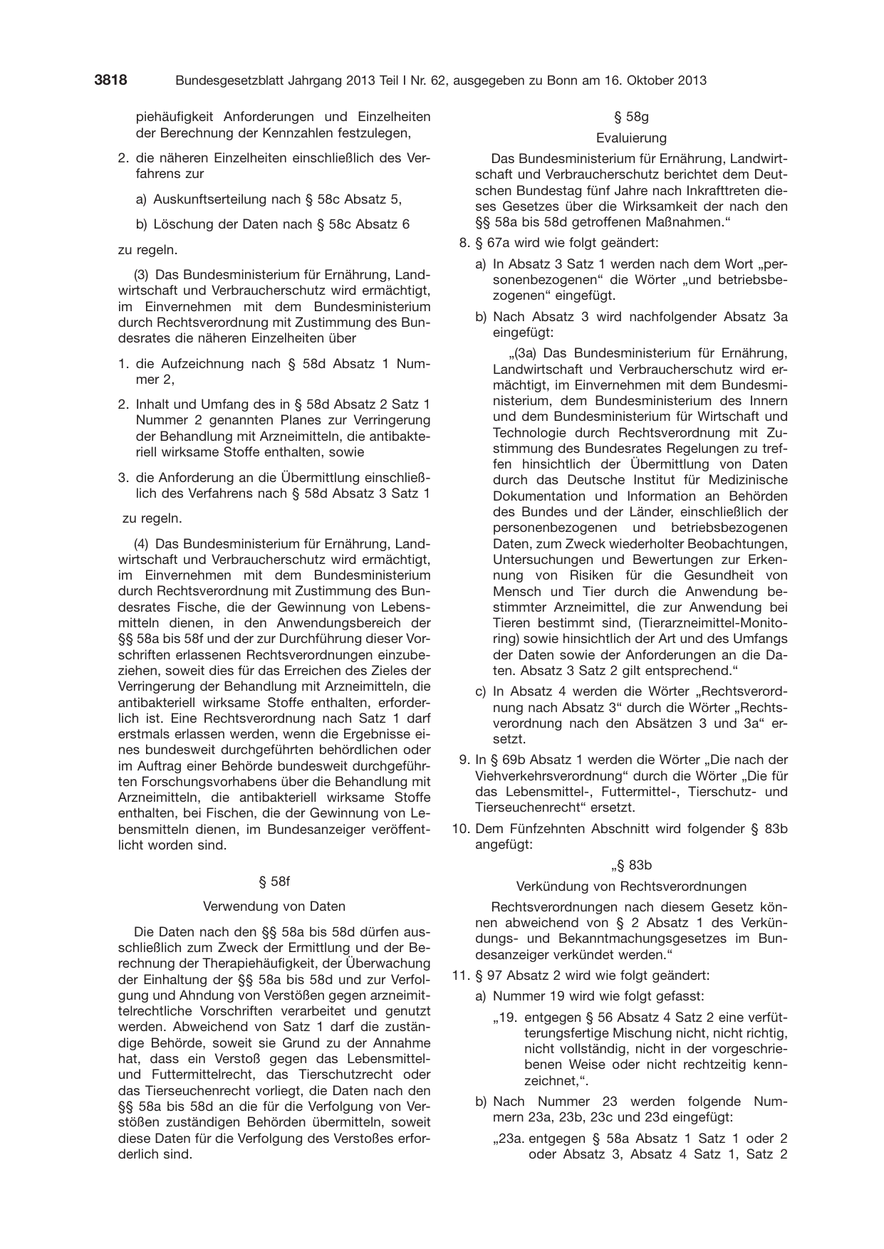 BGBl. 2013, Seite 3818 — Originalseite als Abbildung