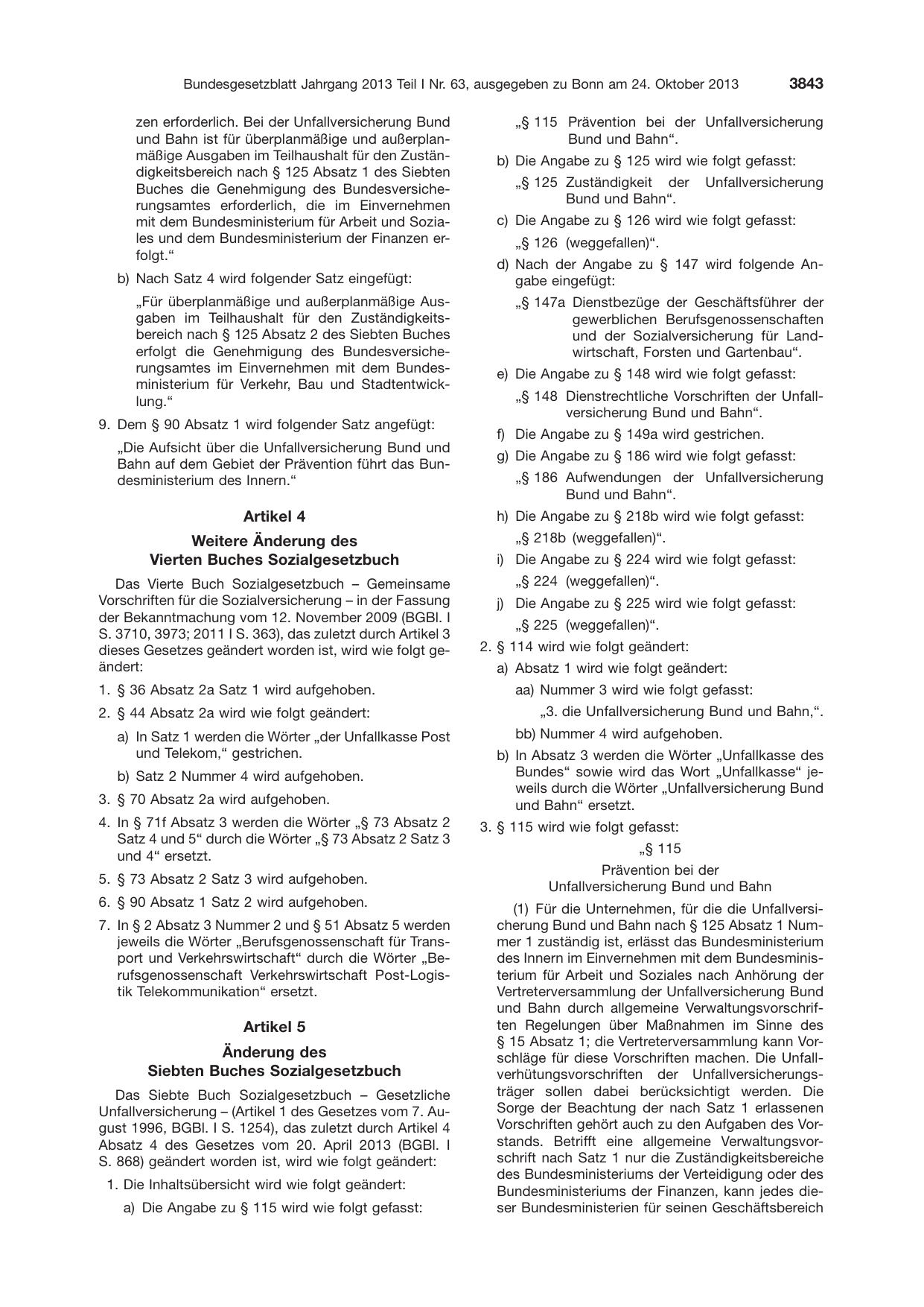BGBl. 2013, Seite 3843 — Originalseite als Abbildung