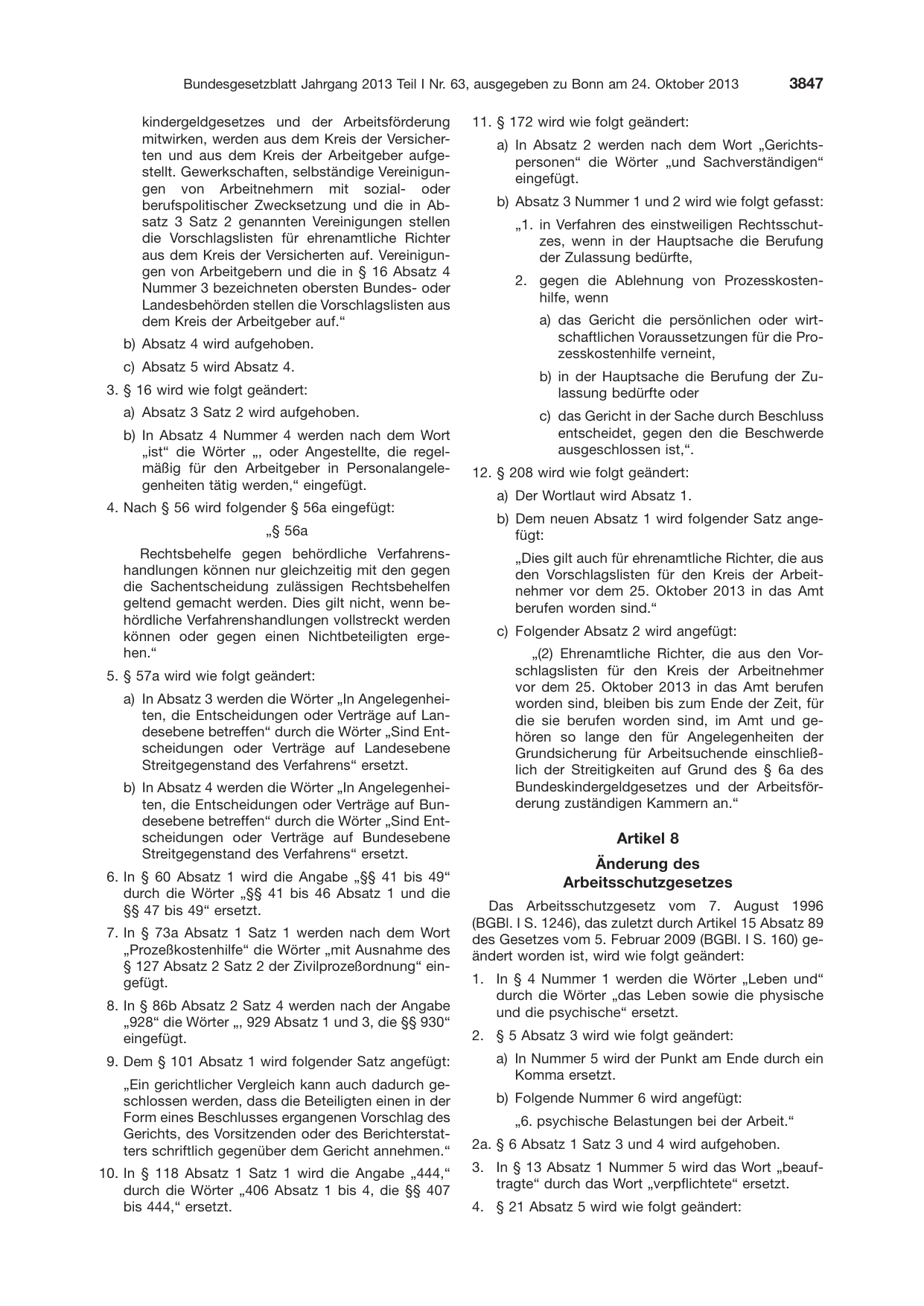 BGBl. 2013, Seite 3847 — Originalseite als Abbildung