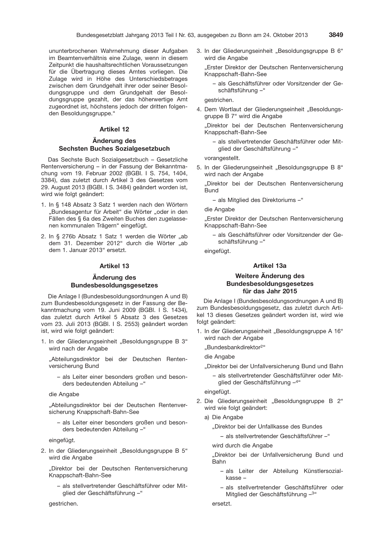 BGBl. 2013, Seite 3849 — Originalseite als Abbildung