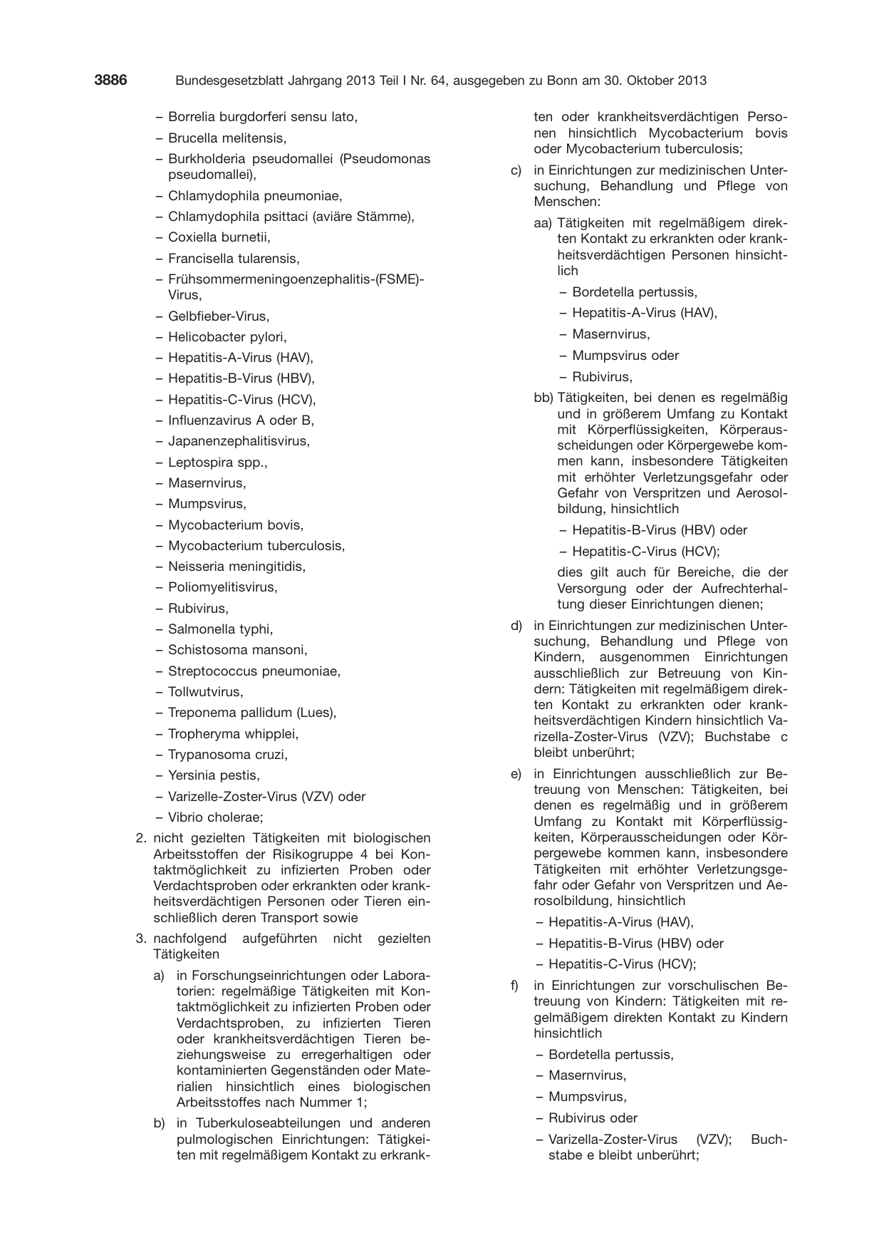 BGBl. 2013, Seite 3886 — Originalseite als Abbildung