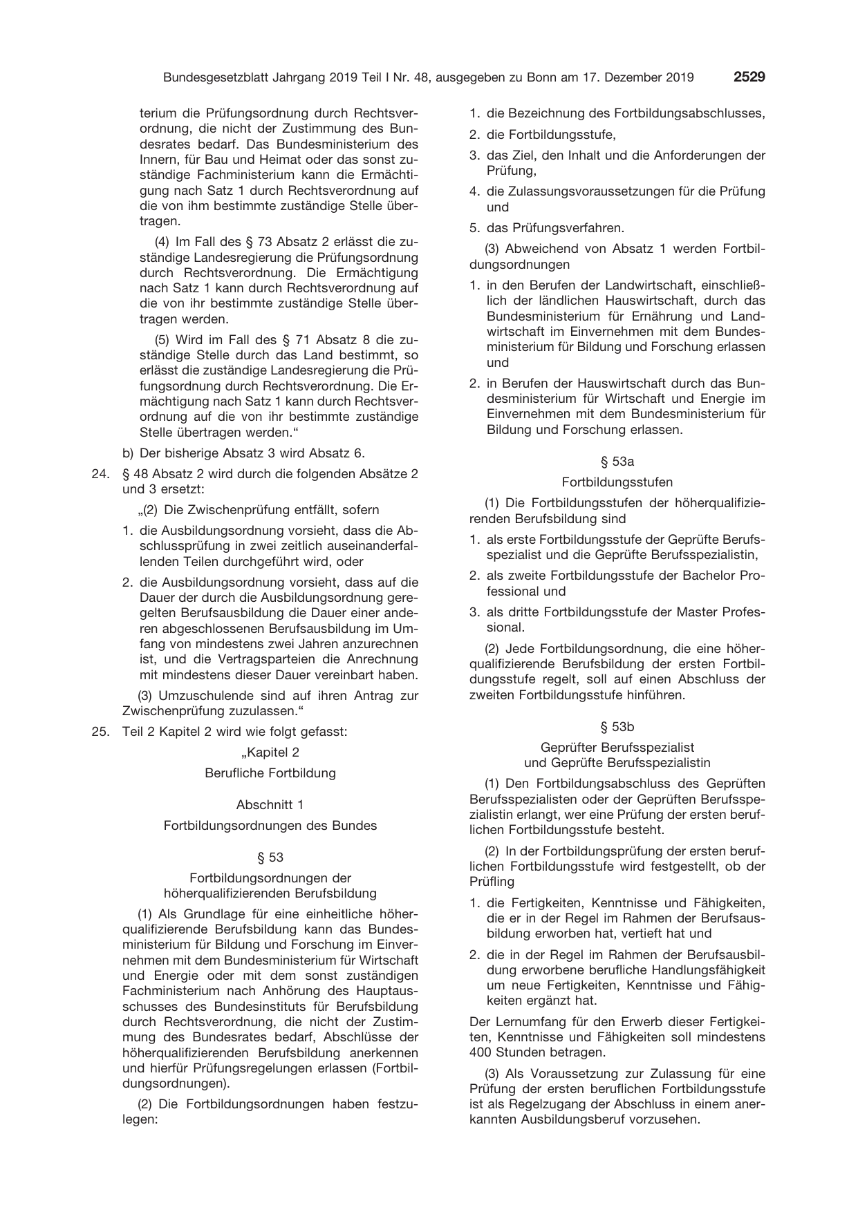 BGBl. 2019, Seite 2529 — Originalseite als Abbildung
