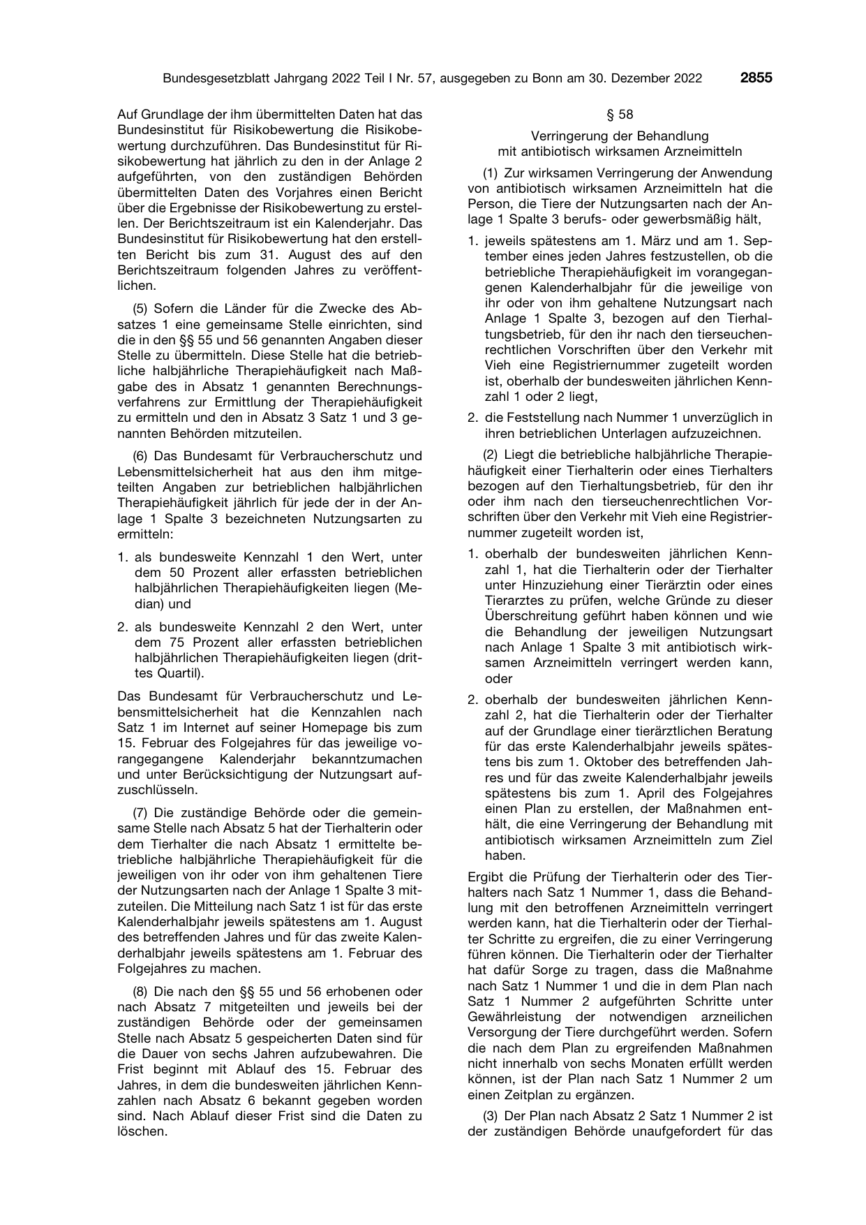 BGBl. 2022, Seite 2855 — Originalseite als Abbildung