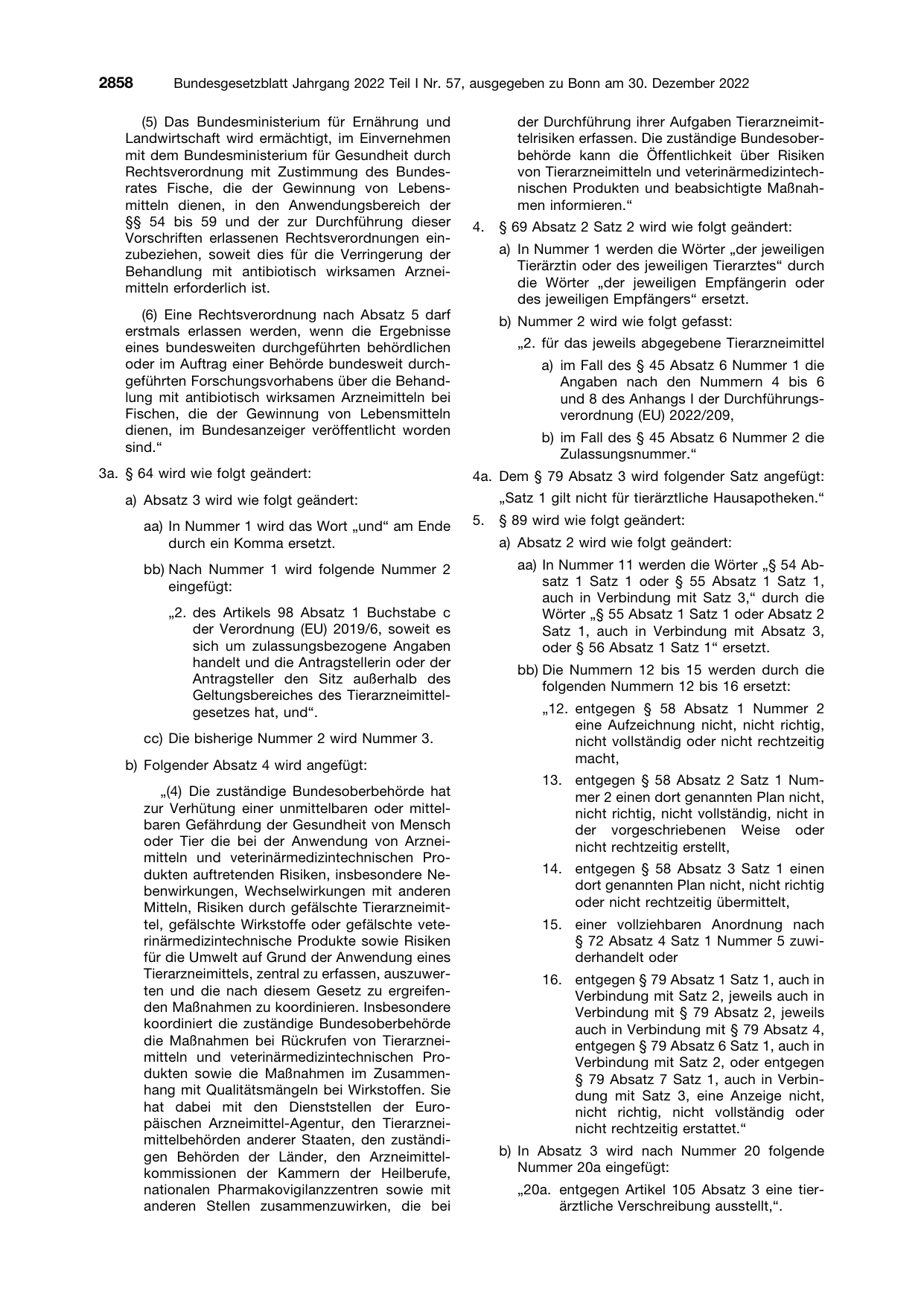 BGBl. 2022, Seite 2858 — Originalseite als Abbildung